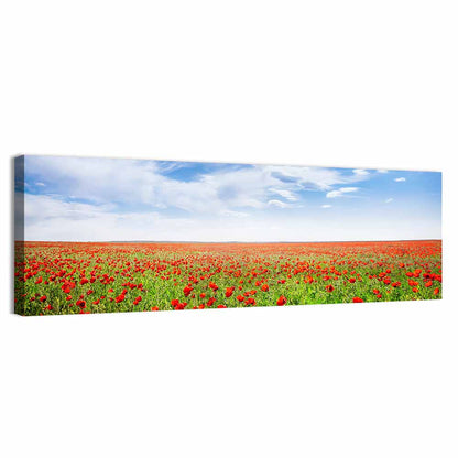 Red Poppy Field Wall Art