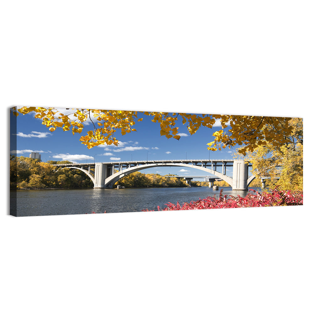 Ford Parkway Bridge Mississippi River Wall Art