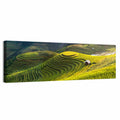 Mu Cang Chai Rice Fields Wall Art