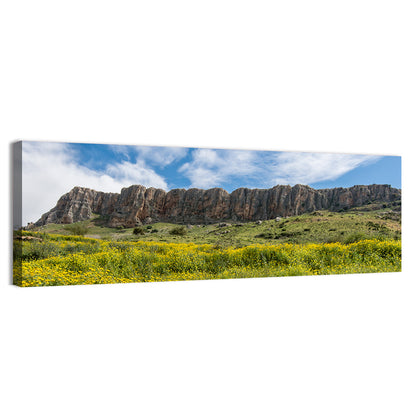 Mount Arbel Wildflower Meadow Wall Art