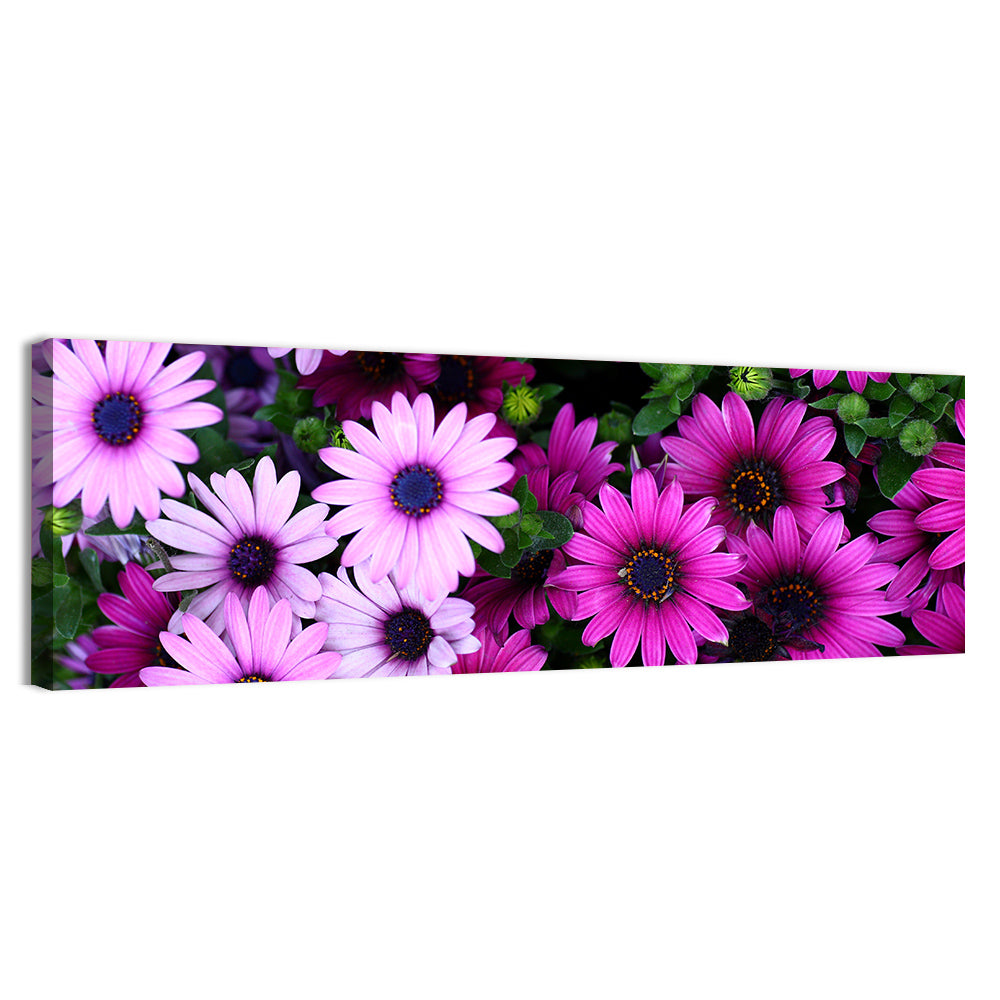 Pink and Purple Daisies Wall Art