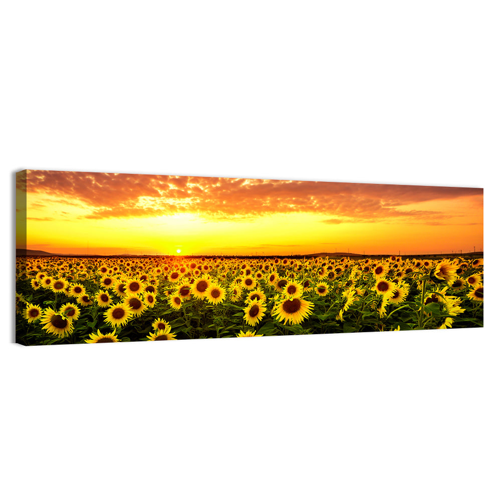 Sunflower Field Sunset Wall Art