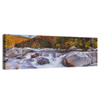 White Mountain Autumn River Wall Art