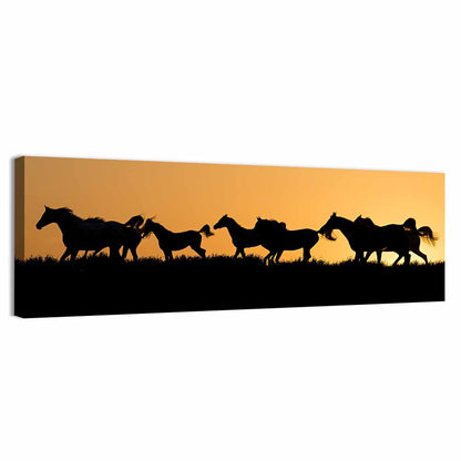 Arabian Horses Wall Art