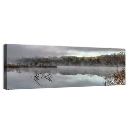 Millennium Park Lake Reflection Wall Art