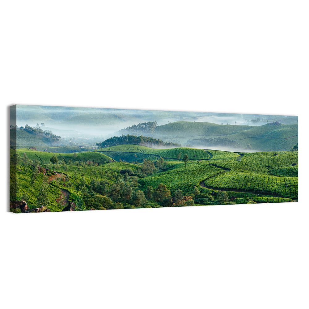 Kerala Tea Fields Wall Art, canvas print, panoramic