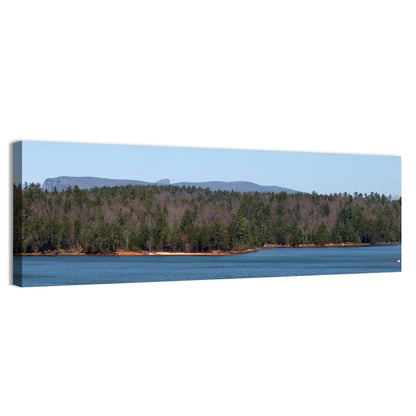 Lake James Shoreline Wall Art