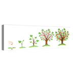 Apple Tree Life Cycle Wall Art