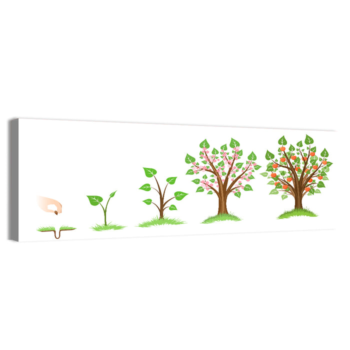 Apple Tree Life Cycle Wall Art as a canvas print