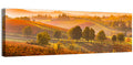 Golden Hour Vineyard Hills Wall Art