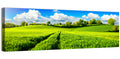 Tractor Tracks Through Green Rolling Hills Wall Art