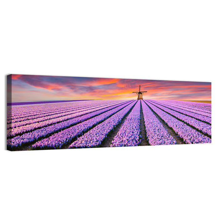 Hyacinth Field at Sunset Wall Art as a canvas print