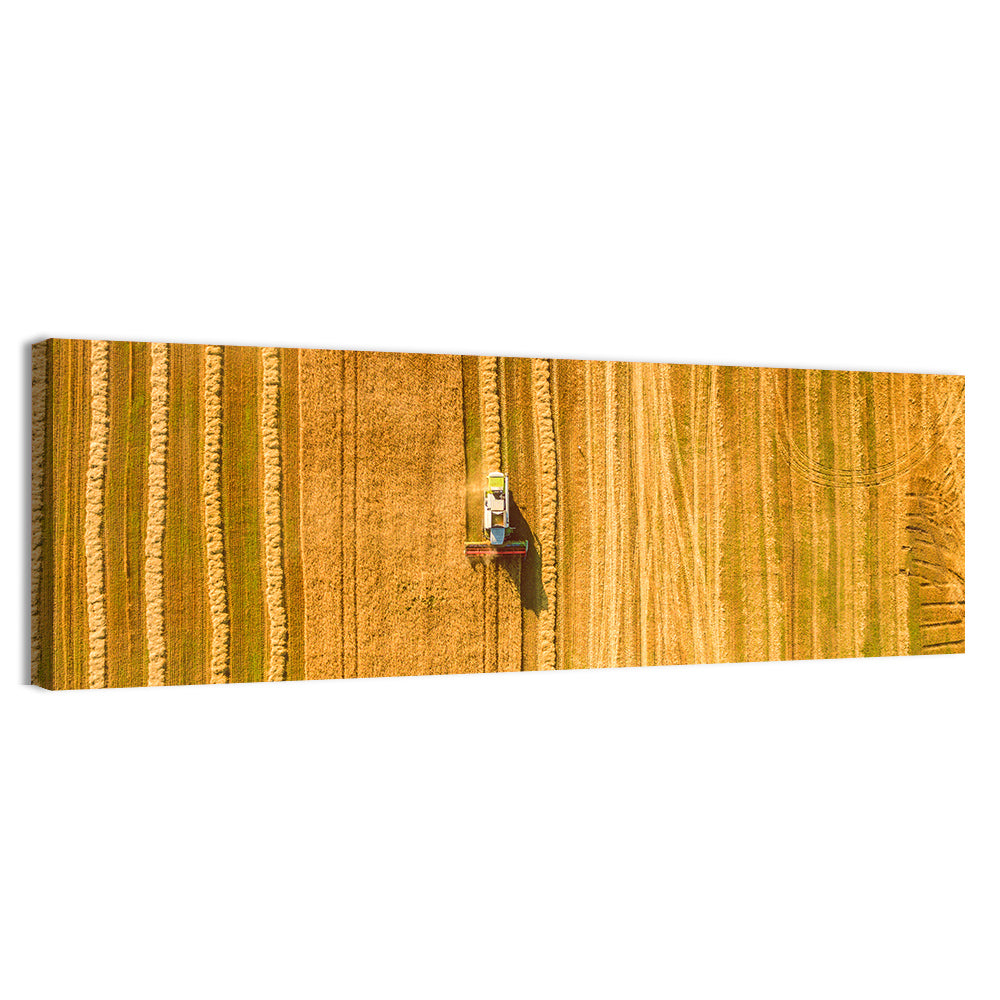 Aerial Wheat Harvest Wall Art