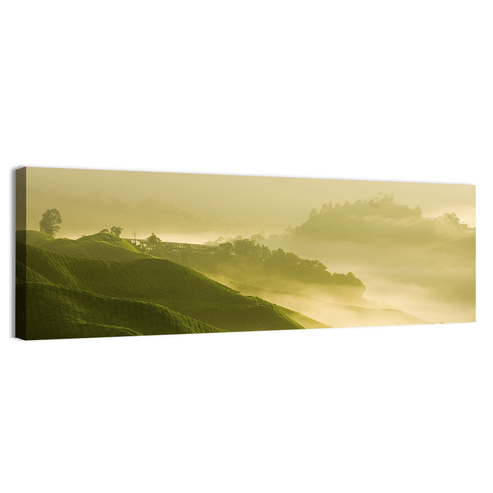 Tea Plantation Morning Mist Wall Art