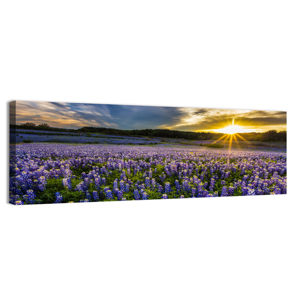 Texas Bluebonnet Field at Sunset Wall Art