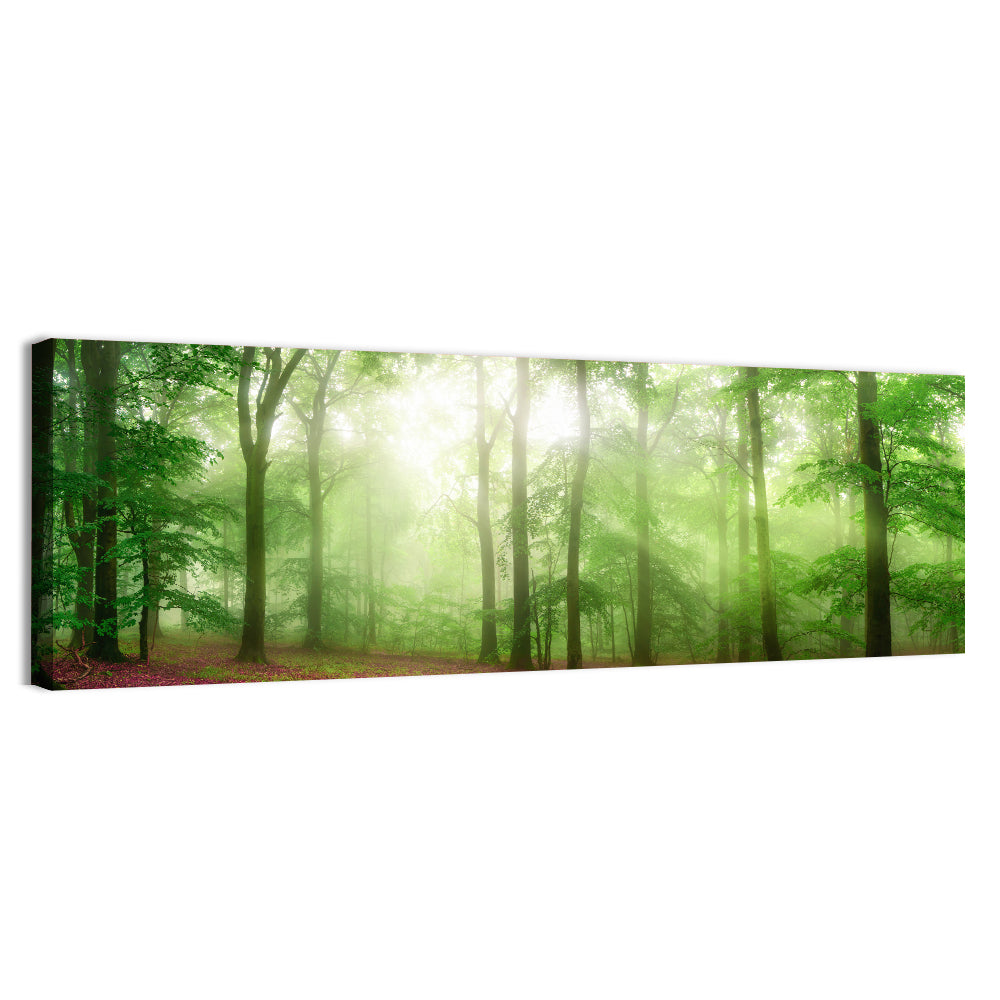 Sunlit Misty Forest Wall Art