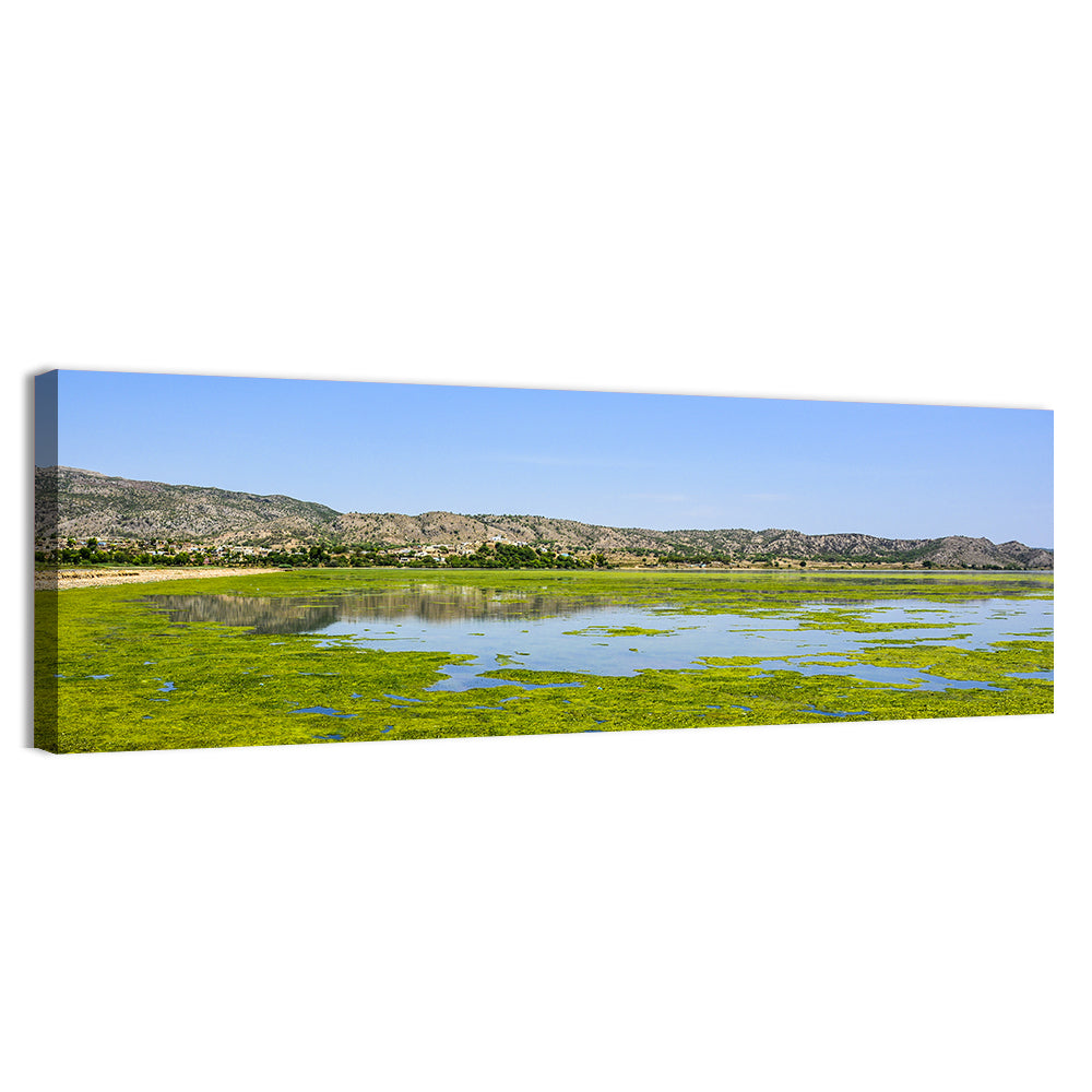 Green Algae in Uchali Lake Wall Art