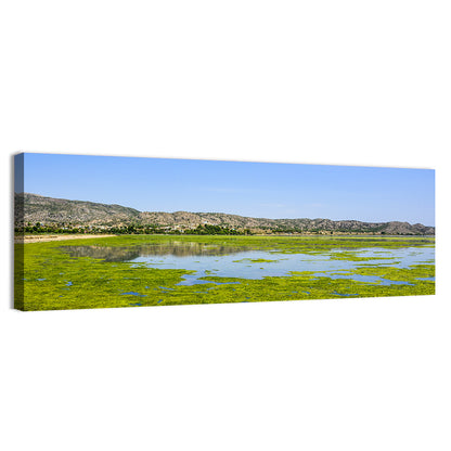 Green Algae in Uchali Lake Wall Art