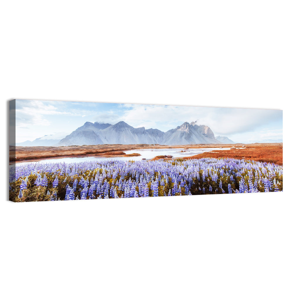 Lupine Fields at Vestrahorn Wall Art