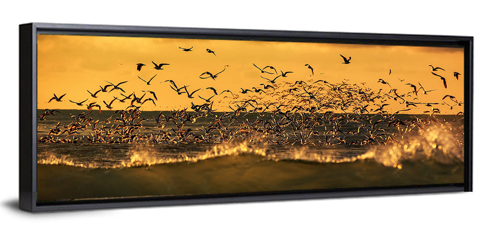 Seagull Flock at Golden Hour Wall Art