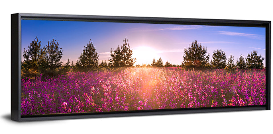 Sunrise Wildflower Meadow Wall Art