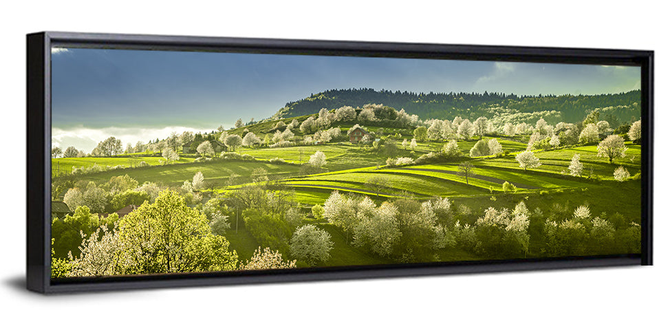 Spring Blossoms in Polana Wall Art
