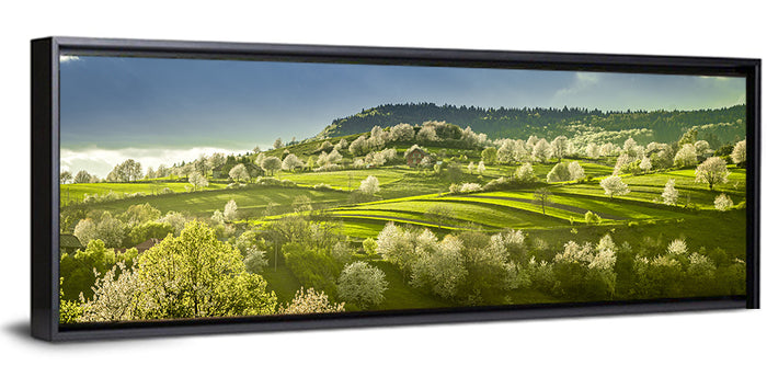 Spring Blossoms in Polana Wall Art as a framed canvas