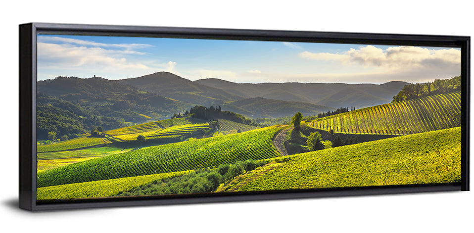 Sunlit Chianti Vineyard Wall Art