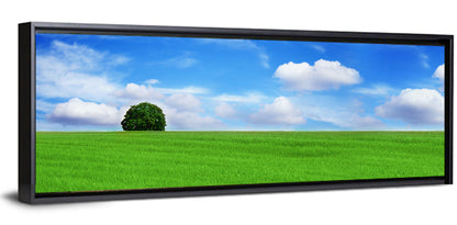 Solitary Tree Over Green Meadow Wall Art