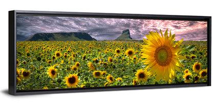Sunflower Field with Mountains Wall Art