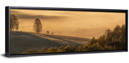 Misty Valley Morning Light Wall Art
