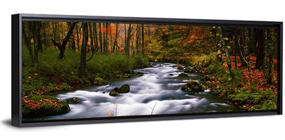 Autumn Forest Stream Wall Art