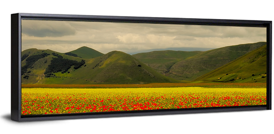 Castelluccio Wildflower Meadow Wall Art