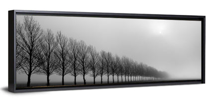 Foggy Autumn Trees Row Wall Art