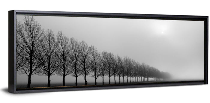 Misty Row of Bare Trees Wall Art as a framed canvas