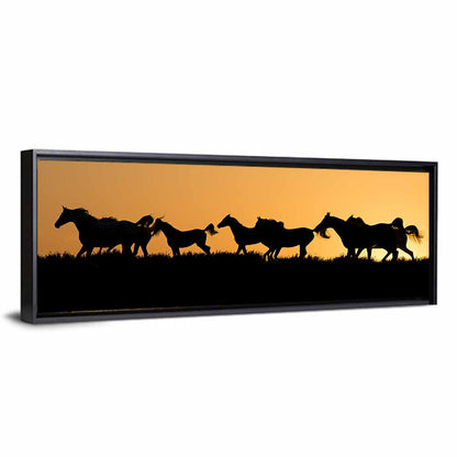 Arabian Horses Wall Art