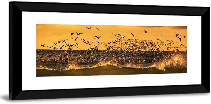 Seagull Flock at Golden Hour Wall Art as a framed print