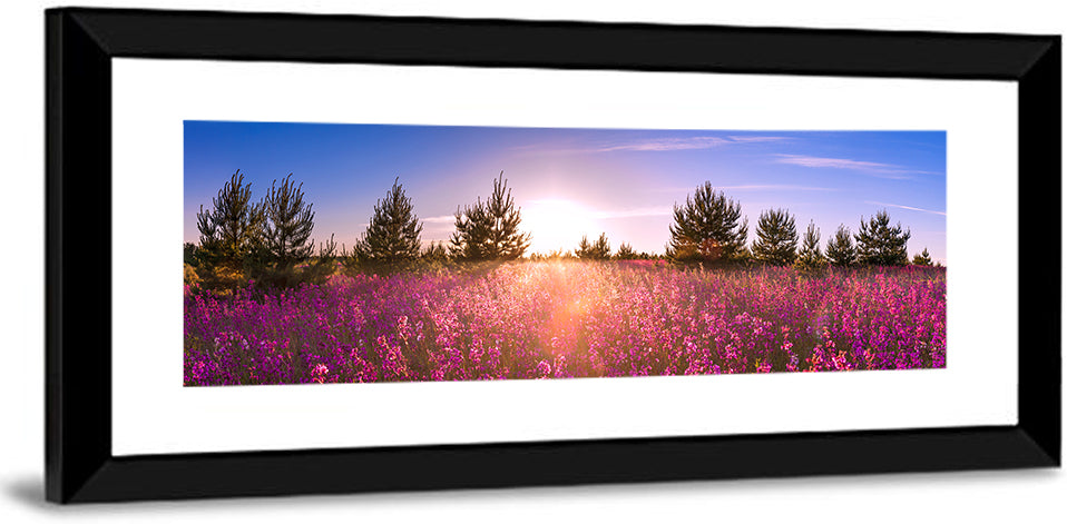 Sunrise Wildflower Meadow Wall Art