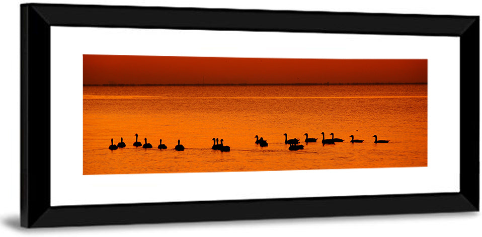 Geese Silhouettes at Orange Sunset Wall Art