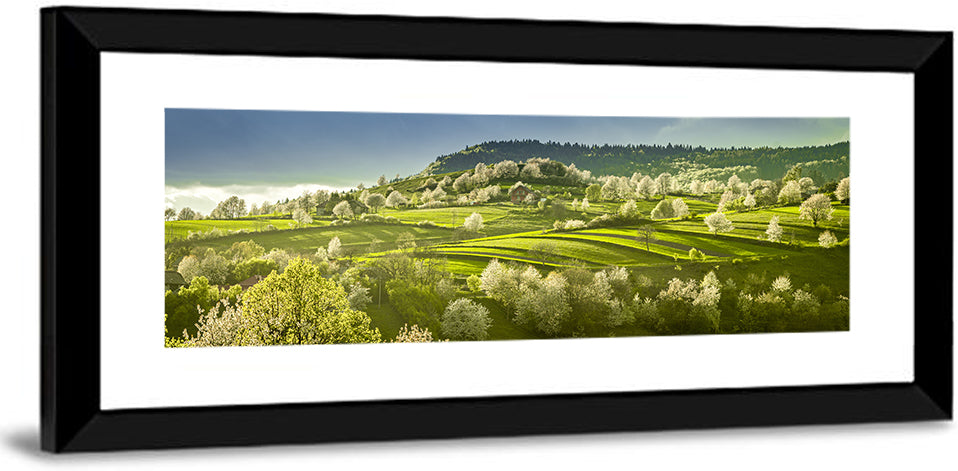 Spring Blossoms in Polana Wall Art