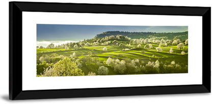 Spring Blossoms in Polana Wall Art