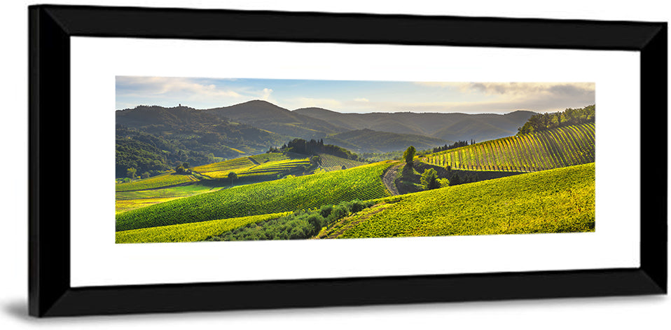 Sunlit Chianti Vineyard Wall Art