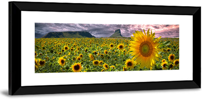 Sunflower Field with Mountains Wall Art as a framed print