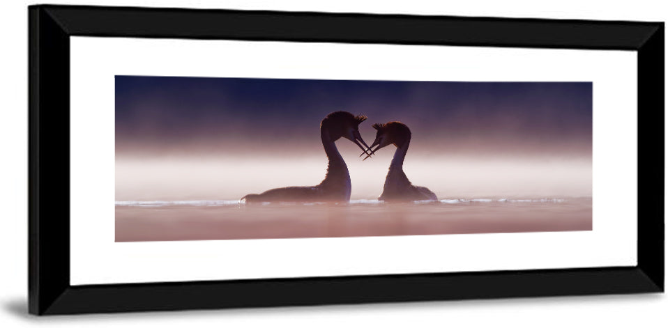 Crested Grebes in Morning Mist Wall Art