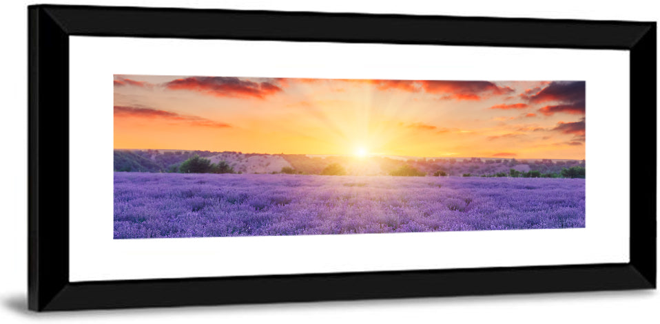 Lavender Fields Wall Art