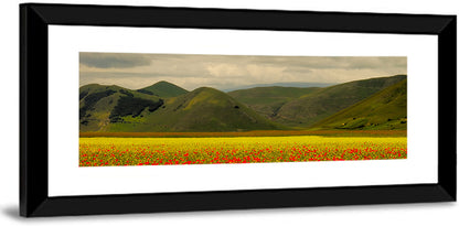 Castelluccio Wildflower Meadow Wall Art