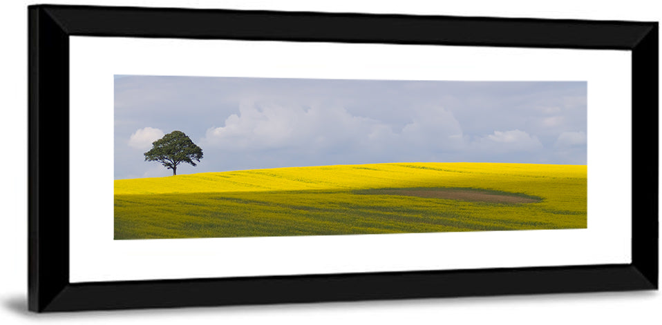 Mountain Rapeseed Field Wall Art