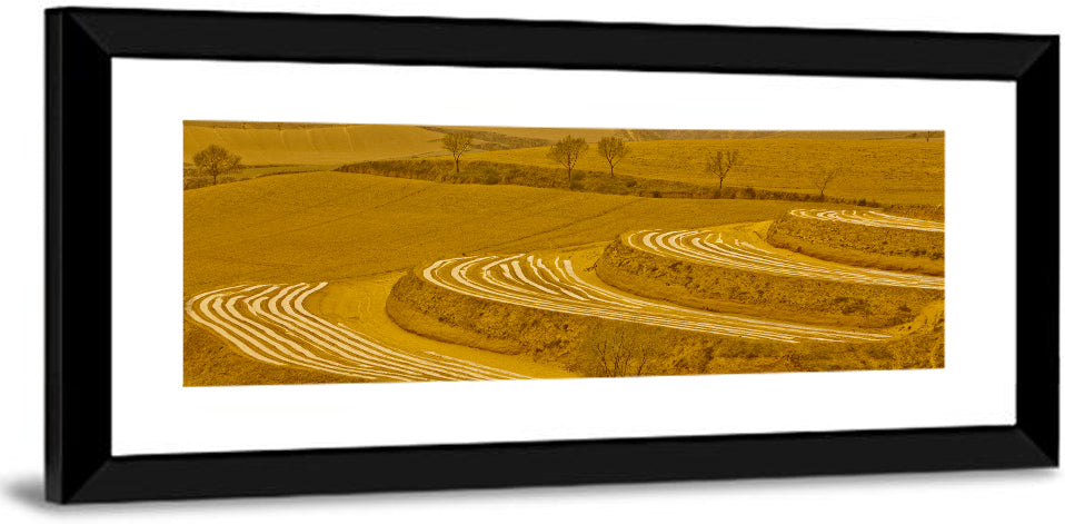 Loess Plateau Terraced Farmland Wall Art