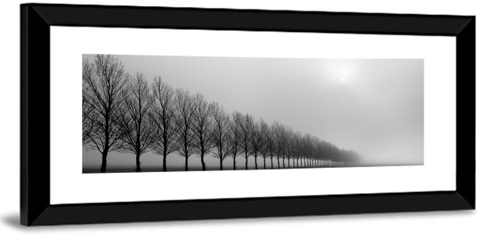 Foggy Autumn Trees Row Wall Art