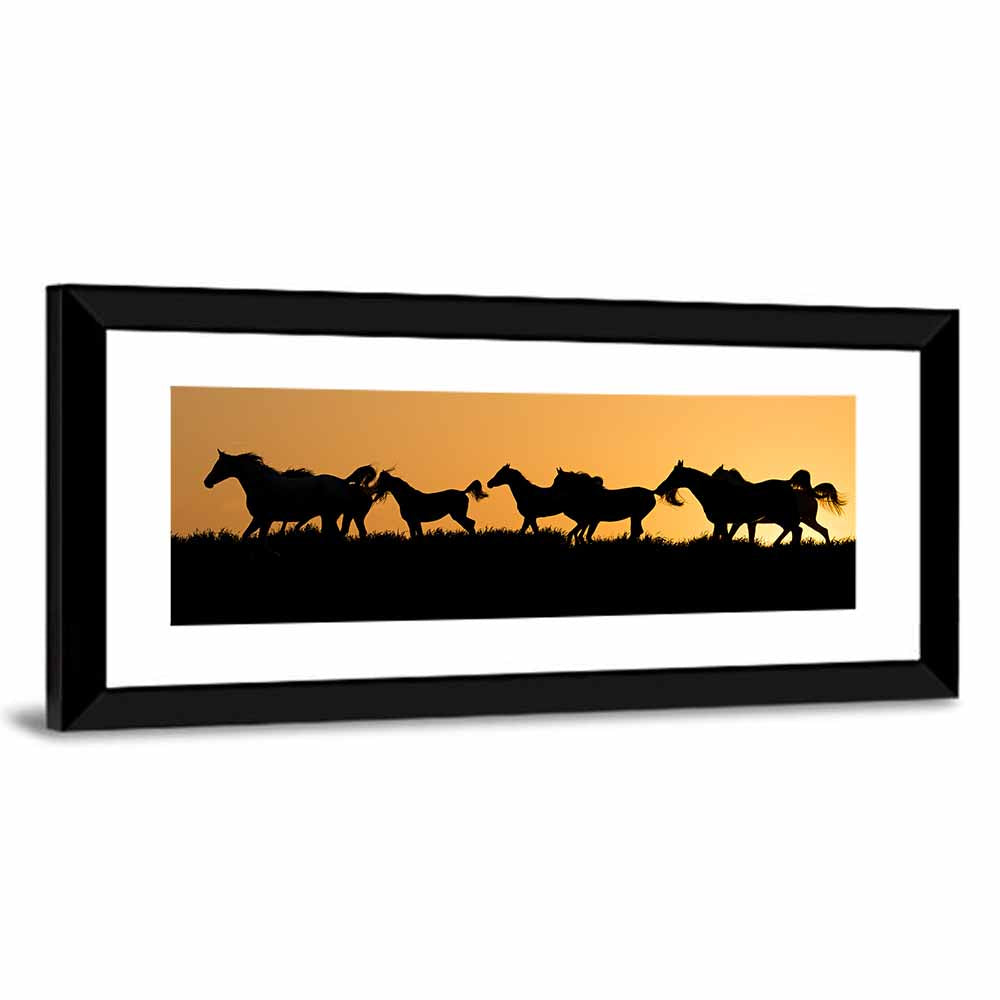 Arabian Horses Wall Art